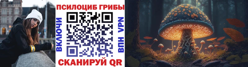 Псилоцибиновые грибы Magic Shrooms  кракен рабочий сайт  это телеграм  Мостовской 